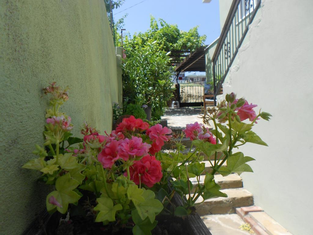 Irmak Family Pension & Apartments Eceabat Habitación foto